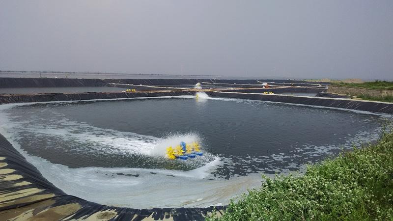魚塘蝦池養(yǎng)殖防滲膜 魚塘蝦池養(yǎng)殖防滲膜