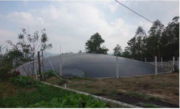 豬場黑膜沼氣池 豬場黑膜沼氣池
